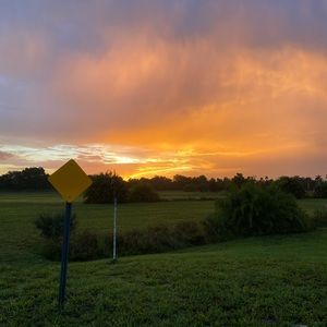 Meet your Posher, Sofia